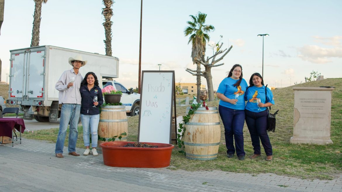 Celebra UACH 2.ª Vendimia Cultural Universitaria 2025.