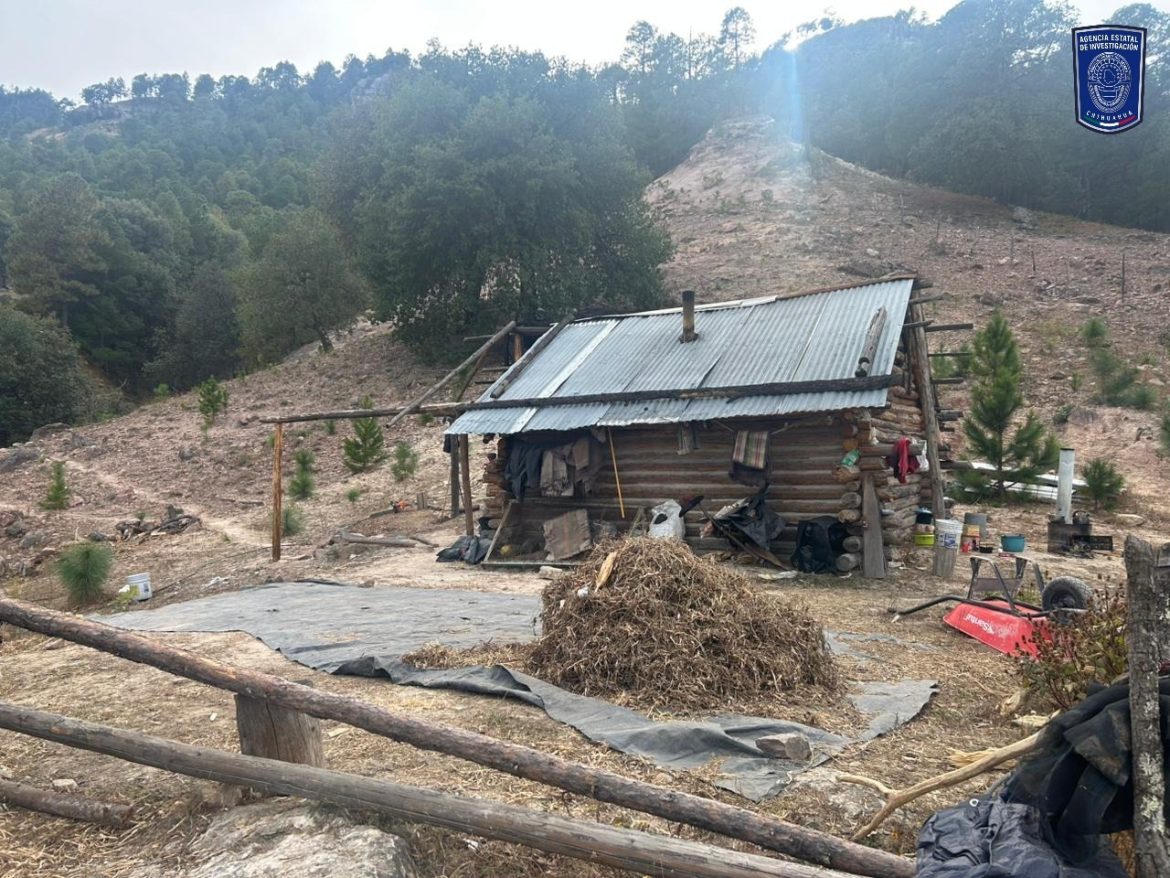 Persona sin vidaPor arma de fuego